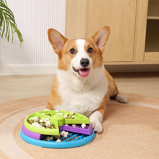 Pet Slow Feeder Bowl Anti-Choking Interactive Puzzle Lick Mat for Dogs Cats Mental Stimulation Toy