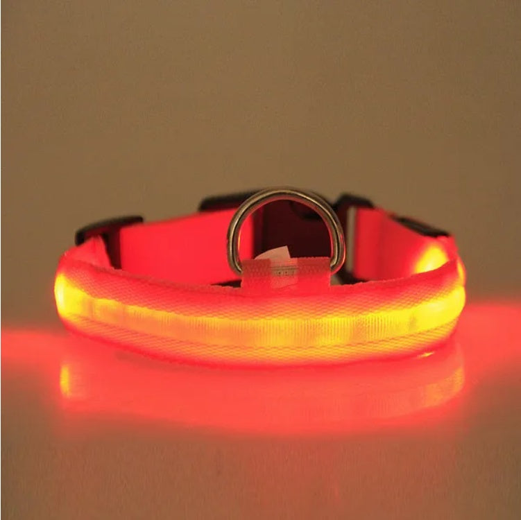 4117347ccf69dc68ea6c01b00231fae0