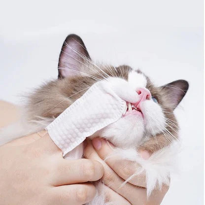 3-in-1 Pet Finger Wet Wipes for Dogs and Cats Teeth Cleaning Dental Care Pack 50