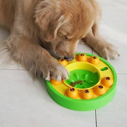 Interactive Dog Puzzle Feeder Slow Feeding Bowl Treat Dispensing Toy for IQ Training Dogs Cats