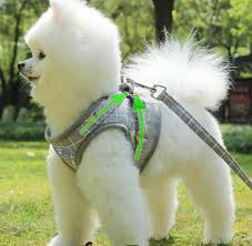 Breathable Dog Rope Vest Leash for Small Dogs Teddy Bichon Pomeranian with Adjustable Chest Strap