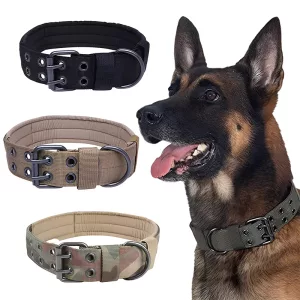 Nylon Anti-Grind Dog Leash Collar for Strong Secure Training Walking Adjustable Comfortable Durable Pets Daily